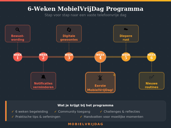 Digitale detox programma